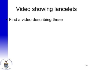 Video showing lancelets
• Find a video describing these
178
 