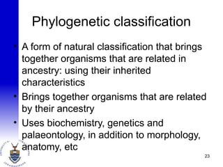 Phylogenetic classification
• A form of natural classification that brings
together organisms that are related in
ancestry: using their inherited
characteristics
• Brings together organisms that are related
by their ancestry
• Uses biochemistry, genetics and
palaeontology, in addition to morphology,
anatomy, etc
23
 