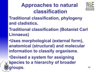 Approaches to natural
classification
Traditional classification, phylogeny
and cladistics.
Traditional classification (Botanist Carl
Linnaeus)
•Uses morphological (external form),
anatomical (structural) and molecular
information to classify organisms.
•Devised a system for assigning
species to a hierarchy of broader
groups. 24
 