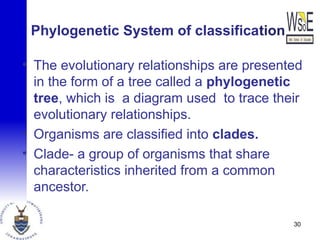 Phylogenetic System of classification.
• The evolutionary relationships are presented
in the form of a tree called a phylogenetic
tree, which is a diagram used to trace their
evolutionary relationships.
• Organisms are classified into clades.
• Clade- a group of organisms that share
characteristics inherited from a common
ancestor.
30
 