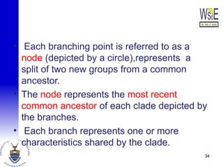 • Each branching point is referred to as a
node (depicted by a circle),represents a
split of two new groups from a common
ancestor.
• The node represents the most recent
common ancestor of each clade depicted by
the branches.
• Each branch represents one or more
characteristics shared by the clade.
34
 