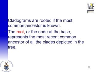 • Cladograms are rooted if the most
common ancestor is known.
• The root, or the node at the base,
represents the most recent common
ancestor of all the clades depicted in the
tree.
35
 