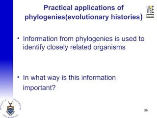 Practical applications of
phylogenies(evolutionary histories)
• Information from phylogenies is used to
identify closely related organisms
• In what way is this information
important?
36
 