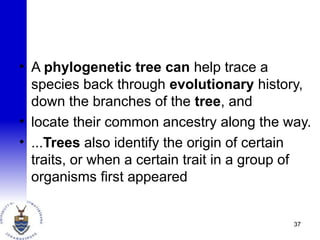• A phylogenetic tree can help trace a
species back through evolutionary history,
down the branches of the tree, and
• locate their common ancestry along the way.
• ...Trees also identify the origin of certain
traits, or when a certain trait in a group of
organisms first appeared
37
 