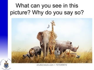 What can you see in this
picture? Why do you say so?
4
 