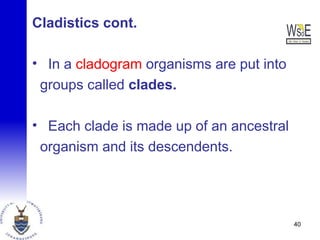 Cladistics cont.
• In a cladogram organisms are put into
groups called clades.
• Each clade is made up of an ancestral
organism and its descendents.
40
 