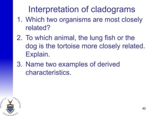 Interpretation of cladograms
1. Which two organisms are most closely
related?
2. To which animal, the lung fish or the
dog is the tortoise more closely related.
Explain.
3. Name two examples of derived
characteristics.
42
 