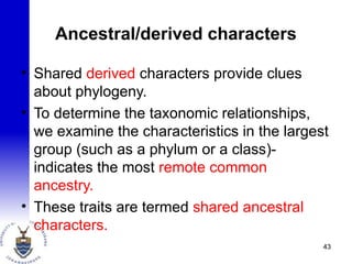 Ancestral/derived characters
• Shared derived characters provide clues
about phylogeny.
• To determine the taxonomic relationships,
we examine the characteristics in the largest
group (such as a phylum or a class)-
indicates the most remote common
ancestry.
• These traits are termed shared ancestral
characters.
43
 