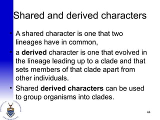 Shared and derived characters
• A shared character is one that two
lineages have in common,
• a derived character is one that evolved in
the lineage leading up to a clade and that
sets members of that clade apart from
other individuals.
• Shared derived characters can be used
to group organisms into clades.
44
 