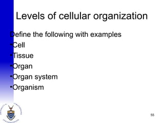 Levels of cellular organization
Define the following with examples
•Cell
•Tissue
•Organ
•Organ system
•Organism
55
 