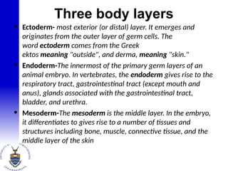 • Ectoderm- most exterior (or distal) layer. It emerges and
originates from the outer layer of germ cells. The
word ectoderm comes from the Greek
ektos meaning "outside", and derma, meaning "skin."
• Endoderm-The innermost of the primary germ layers of an
animal embryo. In vertebrates, the endoderm gives rise to the
respiratory tract, gastrointestinal tract (except mouth and
anus), glands associated with the gastrointestinal tract,
bladder, and urethra.
• Mesoderm-The mesoderm is the middle layer. In the embryo,
it differentiates to gives rise to a number of tissues and
structures including bone, muscle, connective tissue, and the
middle layer of the skin
Three body layers
 