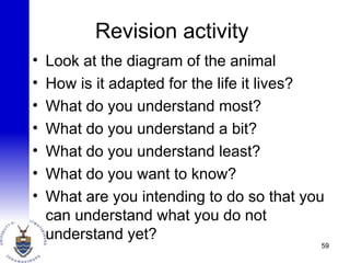 Revision activity
• Look at the diagram of the animal
• How is it adapted for the life it lives?
• What do you understand most?
• What do you understand a bit?
• What do you understand least?
• What do you want to know?
• What are you intending to do so that you
can understand what you do not
understand yet?
59
 