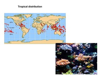Tropical distribution
 