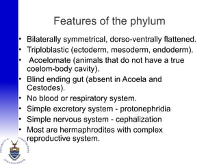 Features of the phylum
• Bilaterally symmetrical, dorso-ventrally flattened.
• Triploblastic (ectoderm, mesoderm, endoderm).
• Acoelomate (animals that do not have a true
coelom-body cavity).
• Blind ending gut (absent in Acoela and
Cestodes).
• No blood or respiratory system.
• Simple excretory system - protonephridia
• Simple nervous system - cephalization
• Most are hermaphrodites with complex
reproductive system.
 