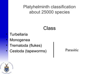 Platyhelminth classification
about 25000 species
Class
• Turbellaria
• Monogenea
• Trematoda (flukes)
• Cestoda (tapeworms) Parasitic
 