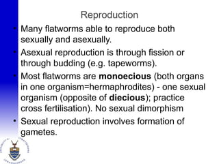 Reproduction
• Many flatworms able to reproduce both
sexually and asexually.
• Asexual reproduction is through fission or
through budding (e.g. tapeworms).
• Most flatworms are monoecious (both organs
in one organism=hermaphrodites) - one sexual
organism (opposite of diecious); practice
cross fertilisation). No sexual dimorphism
• Sexual reproduction involves formation of
gametes.
 
