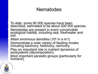 Nematodes
 To date, some 90 000 species have been
described, estimated to be about 500 000 species.
 Nematodes are present in every conceivable
ecological habitat, including sea, freshwater and
soil.
 Attain enormous densities (106
in a m-2
).
 Demonstrate a wide variety of feeding modes
including bactivory, herbivory, carnivory.
 Play an important role in nutrient dynamics of
ecosystems (decomposition).
 Most important parasitic groups (particularly for
humans).
 