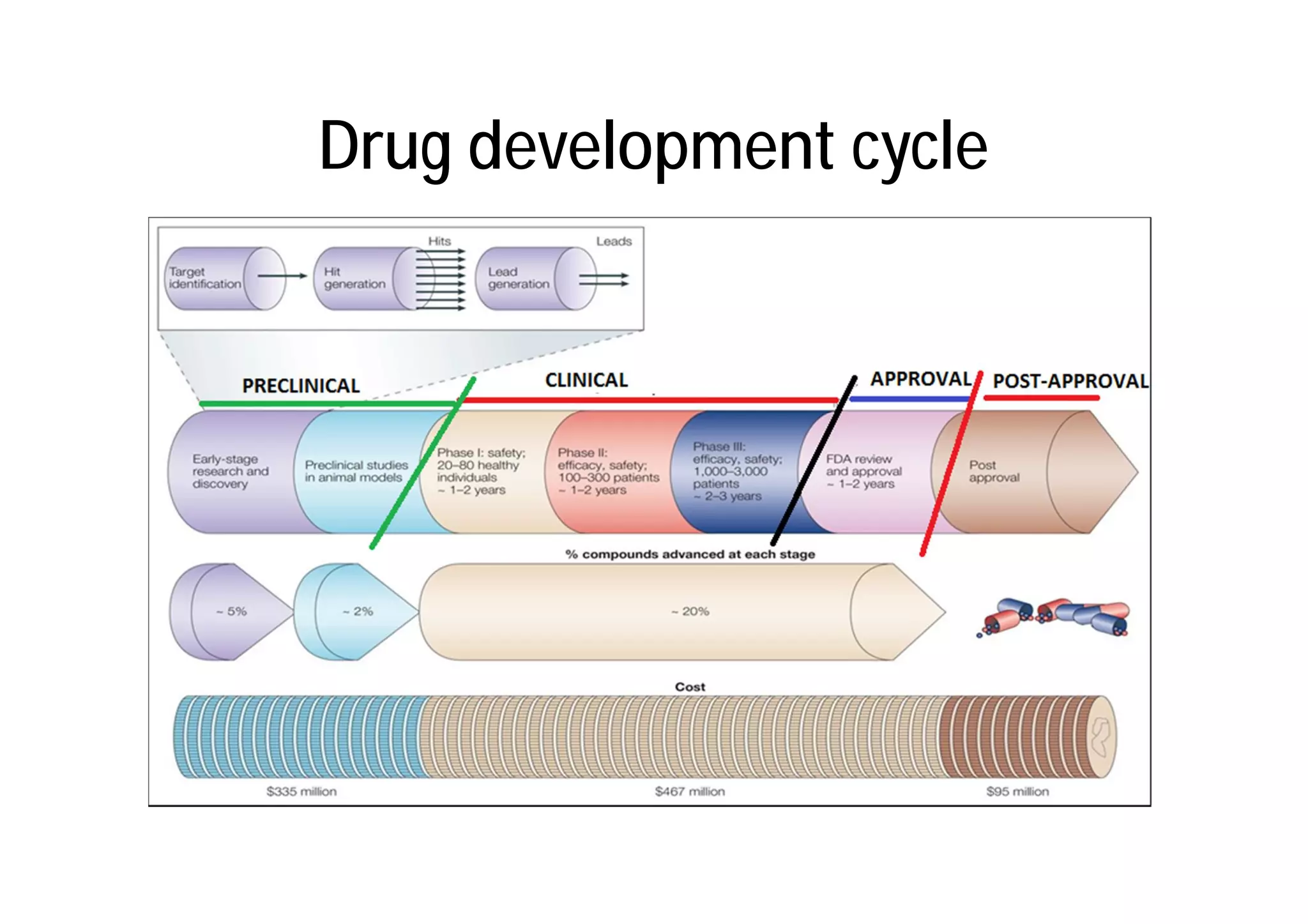 Drug development cycle
 
