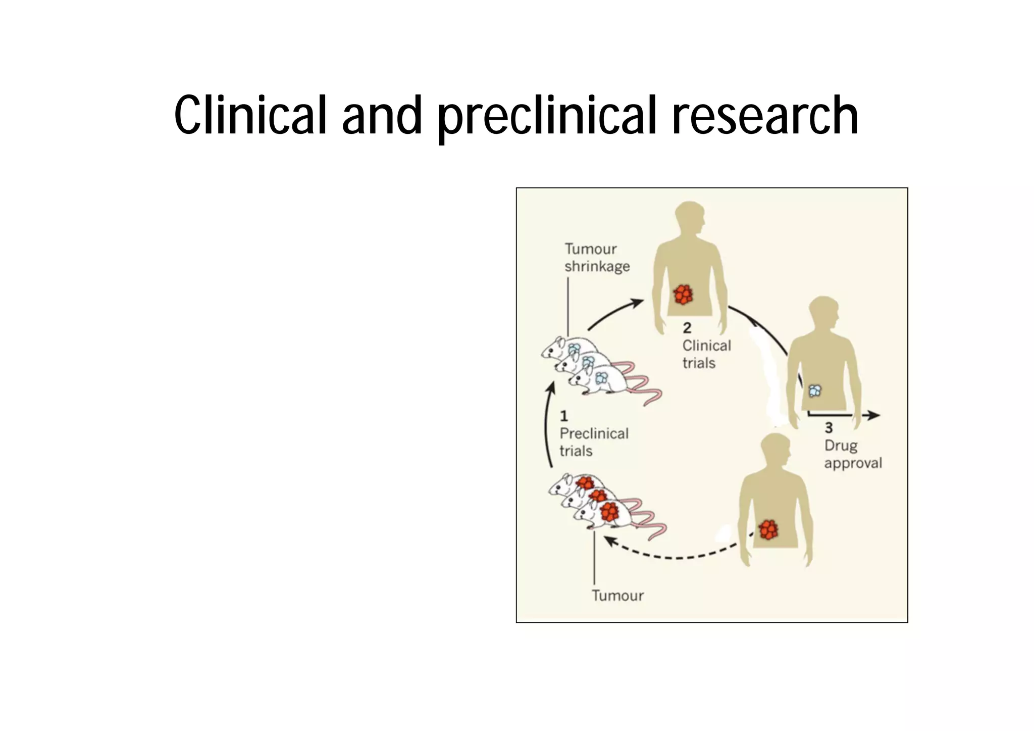 Clinical and preclinical research
 