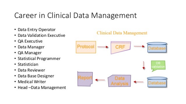 Introduction to clinical sas programming