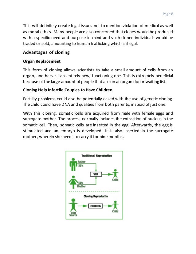 Animal cloning essay picture