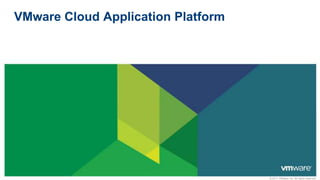 VMware Cloud Application Platform 