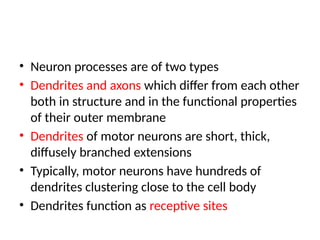 introduction to central nervous system.pptx