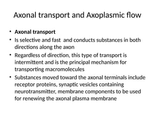 introduction to central nervous system.pptx