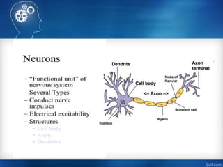Introduction to cns pharmacology | PPTX