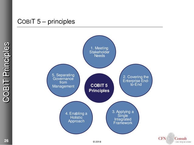 Image result for cobit 5 principles