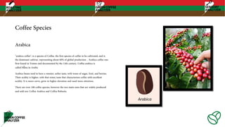 Coffee Species
"arabica coffee", is a species of Coffea. the first species of coffee to be cultivated, and is
the dominant cultivar, representing about 60% of global production. . Arabica coffee was
first found in Yemen and documented by the 12th century. Coffea arabica is
called būna in Arabic
Arabica beans tend to have a sweeter, softer taste, with tones of sugar, fruit, and berries.
Their acidity is higher, with that winey taste that characterizes coffee with excellent
acidity. It is more curve, grow in higher elevation and need more attention.
There are over 100 coffee species, however the two main ones that are widely produced
and sold are: Coffea Arabica and Coffea Robusta.
Arabica
 