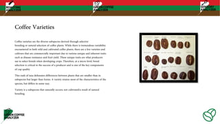 Coffee Varieties
Coffee varieties are the diverse subspecies derived through selective
breeding or natural selection of coffee plants. While there is tremendous variability
encountered in both wild and cultivated coffee plants, there are a few varieties and
cultivars that are commercially important due to various unique and inherent traits
such as disease resistance and fruit yield. These unique traits are what producers
use to select breeds when developing crops. Therefore, at a micro level, breed
selection is critical to the success of a producer and is one of the key components
of cup quality
This rank of taxa delineates differences between plants that are smaller than in
subspecies but larger than forms. A variety retains most of the characteristics of the
species, but differs in some way.
Variety is a subspecies that naturally occurs; not cultivated/a result of natural
breeding.
 