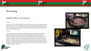 Processing
1.Sorting
The coffee cherries are sorted by immersion in water. Bad or overripe fruit will float and the good ripe fruit will
sink. Within the set of floaters is the subset of unripe and ripe fruit. When these fruits develop properly, their
density will cause them to sink in the hydraulic separator. However, when the development process is altered or
when the seeds are damaged, such as seeds that have been attacked by the coffee bean borer, the density of the
fruit is lessened thus causing it to float.
2. Pulping
The skin of the cherry and some of the pulp is removed by pressing the fruit by machine in water through a
screen. When coffee is processed using a wet or washed method, the pulp of the coffee cherry must be
mechanically removed. Many small holders utilize a small hand-cranked pulper that can alternatively be
attached to a small motor via a pulley. The machine has a knuckled drum that as it rotates, presses the cherries
against an iron faceplate. The pressing action squeezes the seeds from the cherry and the machine utilizes
channels that discard the seeds from one side and the pulp from the other side of the machine. To adjust the
machine to accommodate different sized cherries, the iron faceplate can be moved closer or further away from
the drum. The opening at the bottom of the hopper can also be adjusted. Whole cherries are fed into the top via
the hopper and seeds and pulp are discarded via opposite sides of the machine. I have a video at the bottom of
the page showing how a pulper is used.
Washed coffee or wet process
 