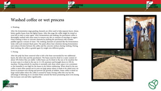 Washed coffee or wet process
4. Washing
After the fermentation stage grading channels are often used to help separate heavy, dense,
better quality beans from the lighter beans. After this stage the coffee might be rinsed or
even left to soak in water again. After fermentation and soaking, the parchment coffee is
thoroughly washed with clean water to remove any dirt or remains of mucilage or sugars.
Final washing is done in concrete channels by pushing the parchment with wooden
paddles against a stream of water. The washing channels are painted like the fermentation
tanks with acid resistant black paint. The paint allows heat retention during fermentation
and reduces friction between the coffee and the concrete surfaces during washing. During
final washing, the coffee is graded again by weight into different grades.
5. Drying
After the pulp has been removed what is left is the bean surrounded by two additional
layers, the silver skin and the parchment. The beans must be dried to a water content of
about 10% before they are stable. Coffee beans can be dried in the sun or by machine but
in most cases it is dried in the sun to 12-13% moisture and brought down to 10% by
machine. Drying entirely by machine is normally only done where space is at a premium
or the humidity is too high for the beans to dry before mildewing. When dried in the sun
coffee is most often spread out in rows on large patios where it needs to be raked every six
hours to promote even drying and prevent the growth of mildew. Some coffee is dried on
large raised tables where the coffee is turned by hand. Drying coffee this way has the
advantage of allowing air to circulate better around the beans promoting more even drying
but increases cost and labor significantly.
 