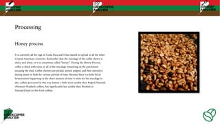 Processing
It is currently all the rage in Costa Rica and it has started to spread to all the other
Central American countries. Remember that the mucilage of the coffee cherry is
sticky and slimy, so it is sometimes called “honey”. During the Honey Process,
coffee is dried with some or all of the mucilage remaining on the parchment
encasing the seed. Coffee cherries are picked, sorted, pulped, and then moved to
drying patios or beds for various periods of time. Because there is a little bit of
fermentation happening in the short amount of time it takes for the mucilage to
dry, coffees processed in this way feature a little more acidity than Pulped Naturals
(Pressure-Washed) coffees, but significantly less acidity than Washed or
Natural/Dried-in-the-Fruit coffees.
Honey process
 