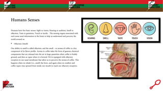 Humans Senses
Humans have five basic senses: Sight or vision, Hearing or audition, Smell or
olfaction, Taste or gustation, Touch or tactile. . The sensing organs associated with
each sense send information to the brain to help us understand and perceive the
world around us.
• Olfaction (Smell)
Our ability to smell is called olfaction, and the smell – or aroma of coffee is a key
component of its flavor profile. Aroma in coffee takes the form of gaseous chemical
components that are released into the air in large quantities when coffee is freshly
ground, and then as vapor when it is brewed. We’re equipped with olfactory
receptors in our nasal membrane that allow us to perceive the aroma of coffee. This
happens when we inhale (i.e., smell) the brew, and again when we swallow and
coffee vapor rises upward from inside our mouth to reach our olfactory receptors.
 