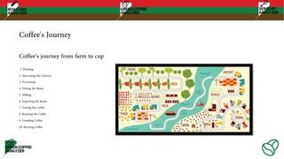 Coffee's Journey
1. Planting
2. Harvesting the Cherries
3. Processing
4. Drying the Beans
5. Milling
6. Exporting the Beans
7. Tasting the Coffee
8. Roasting the Coffee
9. Grinding Coffee
10. Brewing Coffee
Coffee’s journey from farm to cup
 