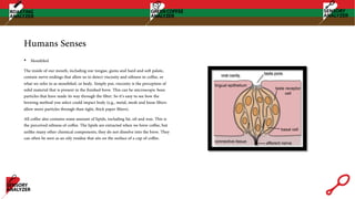 Humans Senses
• Mouthfeel
The inside of our mouth, including our tongue, gums and hard and soft palate,
contain nerve endings that allow us to detect viscosity and oiliness in coffee, or
what we refer to as mouthfeel, or body. Simply put, viscosity is the perception of
solid material that is present in the finished brew. This can be microscopic bean
particles that have made its way through the filter. So it’s easy to see how the
brewing method you select could impact body (e.g., metal, mesh and loose filters
allow more particles through than tight, thick paper filters).
All coffee also contains some amount of lipids, including fat, oil and wax. This is
the perceived oiliness of coffee. The lipids are extracted when we brew coffee, but
unlike many other chemical components, they do not dissolve into the brew. They
can often be seen as an oily residue that sits on the surface of a cup of coffee.
 