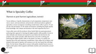 What is Specialty Coffee
Terroir defines as “specific characteristics of soil composition; temperature; rain;
micro, macro, and macroclimate; and particular cultural procedures applied to
agriculture. terroir encompasses everything around where coffee is grown. It’s not
just the soil and climate. It’s the whole environment, including the people and the
local knowledge. Soil, climate and elevation is the most important key for it.
Great coffee starts with the producer whose family likely has spent generations
perfecting their approach to farming the highest quality coffee possible. Grown in
select altitudes and climates and nursed for years before the first harvest, the
producer who creates specialty coffee devotes his or her life to refining and
perfecting the highest quality coffee on the planet. For them, it is quality not
quantity that is the most important consideration. Only coffees free of defects and
picked at their peak of ripeness will continue on to the next hands that will shape
them. For the farmer, being able to connect with quality-minded buyers ensures a
higher profit option which supports individuals, families and communities around
the world.
Harvest or post harvest (agriculture, terroir)
 