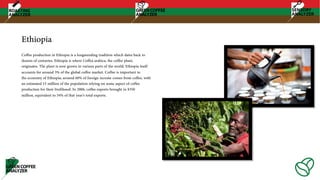 Ethiopia
Coffee production in Ethiopia is a longstanding tradition which dates back to
dozens of centuries. Ethiopia is where Coffea arabica, the coffee plant,
originates. The plant is now grown in various parts of the world; Ethiopia itself
accounts for around 3% of the global coffee market. Coffee is important to
the economy of Ethiopia; around 60% of foreign income comes from coffee, with
an estimated 15 million of the population relying on some aspect of coffee
production for their livelihood. In 2006, coffee exports brought in $350
million, equivalent to 34% of that year's total exports.
 