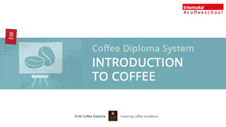 SCAE Coffee Diploma Inspiring coffee excelence 
 