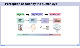 Brian Kim
Perception of color by the human eye
Physical Physiological Psychological
32
 