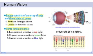 Brian Kim
Human Vision
7
Retina consists of an array of rods
and three kinds of cones
o Rods are for night vision
o Cones are for color vision
Three kinds of cones:
1. L-cone: most sensitive to red light
2. M-cone: most sensitive to green light
3. S-cone: most sensitive to blue light
Source: http://webvision.med.utah.edu/sretina.html
 