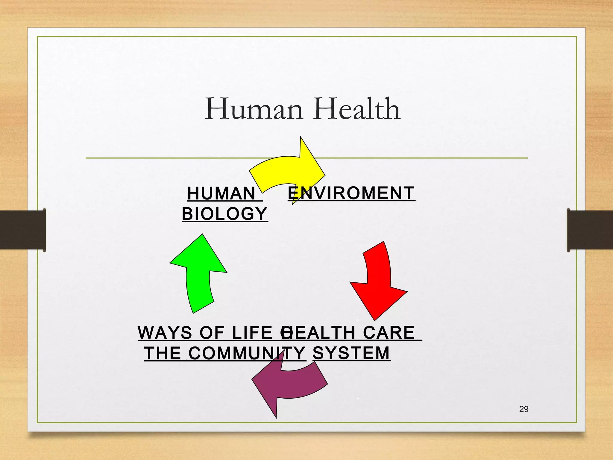 Human Health
29
ENVIROMENT
HEALTH CARE
SYSTEM
WAYS OF LIFE OF
THE COMMUNITY
HUMAN
BIOLOGY
 