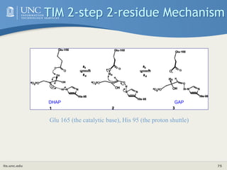 its.unc.edu 75
Glu 165 (the catalytic base), His 95 (the proton shuttle)
DHAP GAP
TIM 2-step 2-residue Mechanism
 