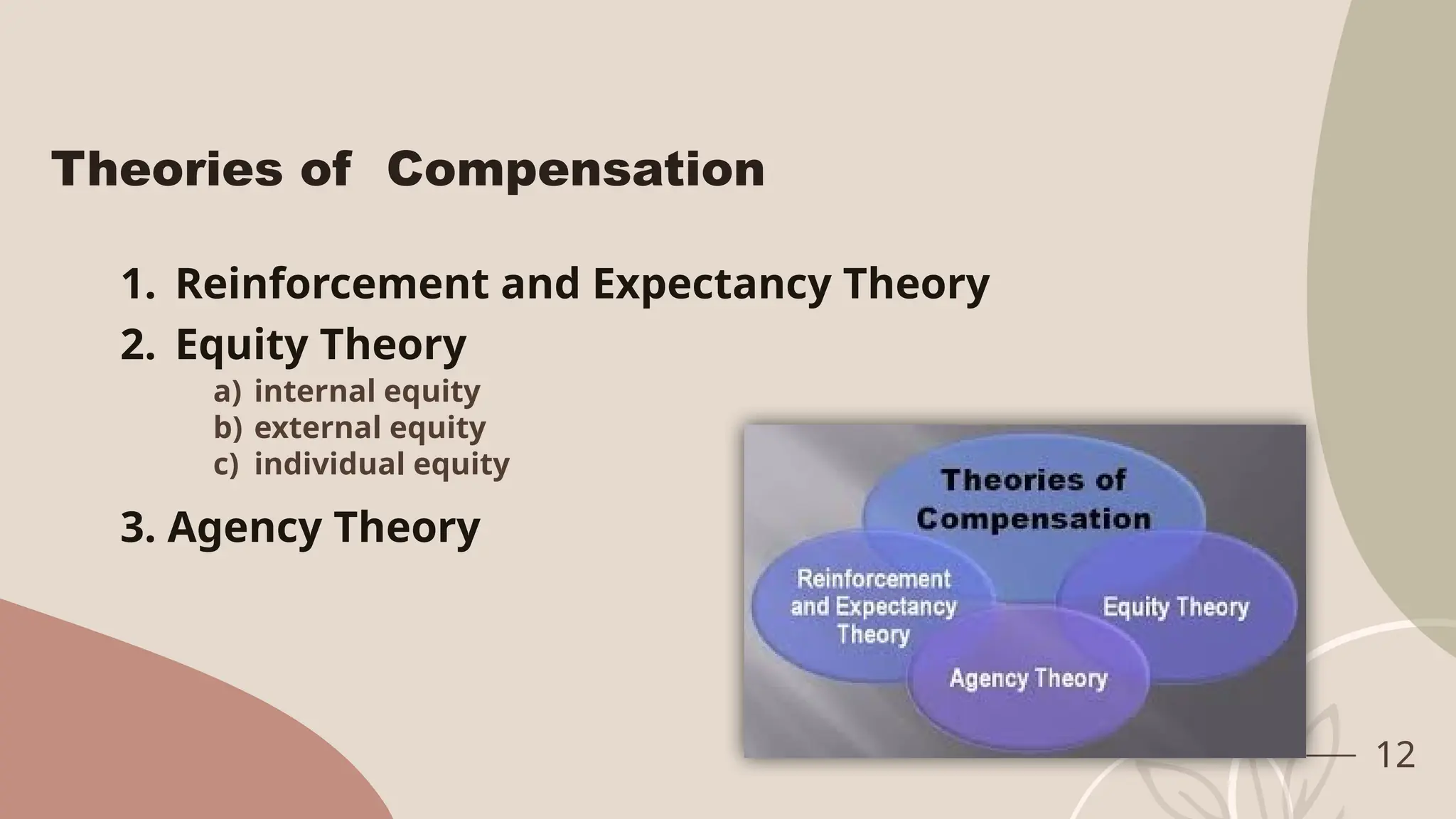 12
Theories of Compensation
1. Reinforcement and Expectancy Theory
2. Equity Theory
3. Agency Theory
a) internal equity
b) external equity
c) individual equity
 