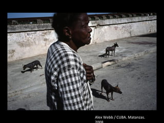 Alex Webb / CUBA. Matanzas.
 