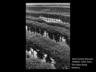 Henri Cartier-Bresson
FRANCE. 1959. Paris.
The Palais Royal
Gardens.
 