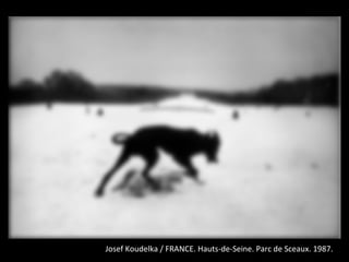 Josef Koudelka / FRANCE. Hauts-de-Seine. Parc de Sceaux. 1987.
 
