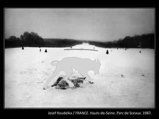 Josef Koudelka / FRANCE. Hauts-de-Seine. Parc de Sceaux. 1987.
 